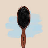 EVO Bradford Brush